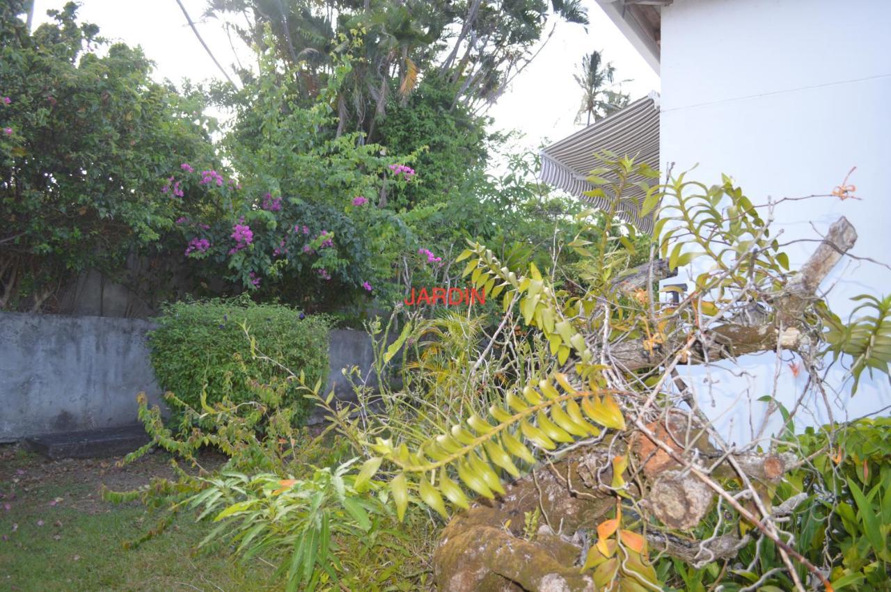 Maison Petit Paradis Basse-Terre Eksteriør bilde